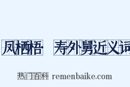 凤栖梧·寿外舅近义词是什么意思的图片